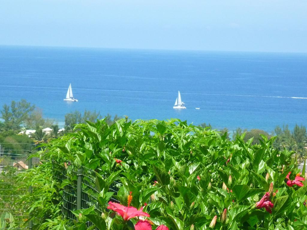 Flamboyant Ocean View - Ex Hillside Haven Apartamento Tamarin Exterior foto